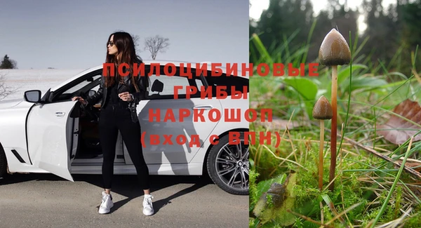 индика Абдулино