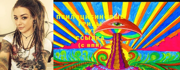 индика Абдулино