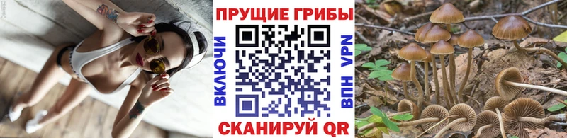 Галлюциногенные грибы MAGIC MUSHROOMS Звенигород